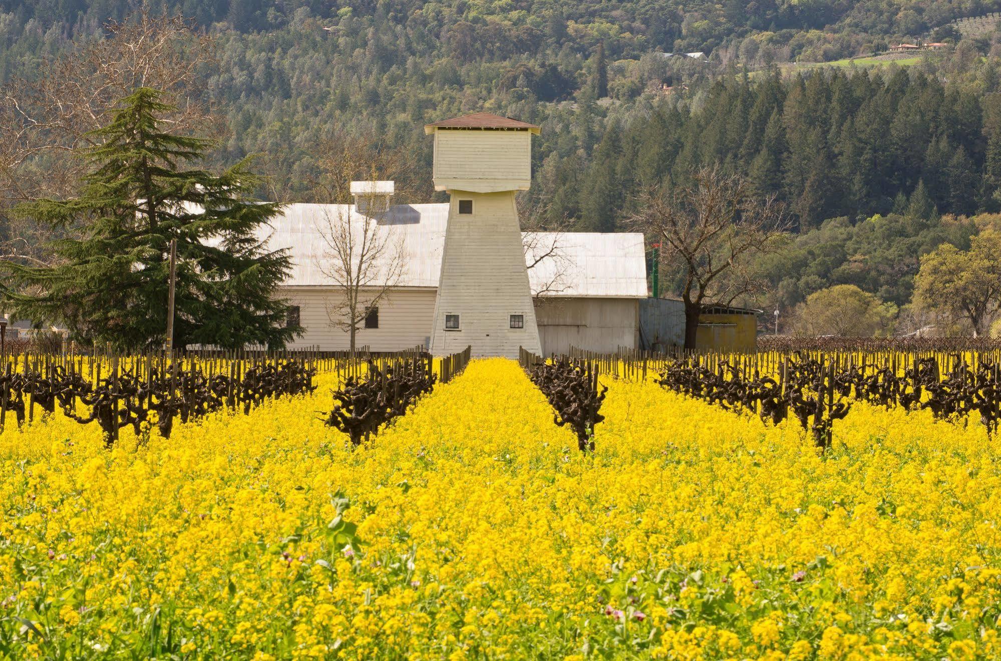 Shady Oaks Country Inn St. Helena Exterior foto